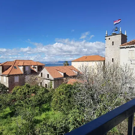 Neva Guest house